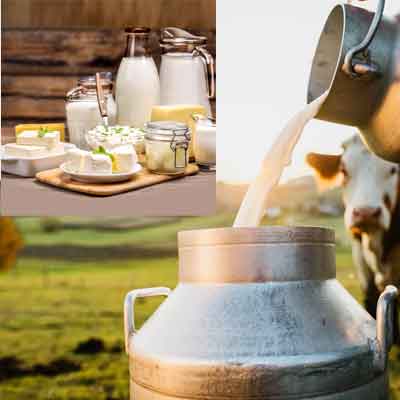 مواد افزودنی لبنیات صنعتی